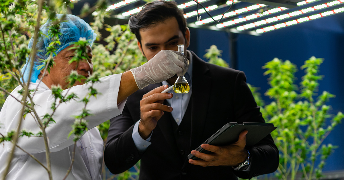 Cannabis Sommelier Ausbildung